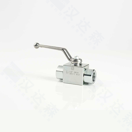 �����Tognella�߉�̼䓶�ͨ���yFT221/1